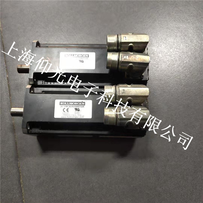 科爾摩根伺服電機故障-噪聲